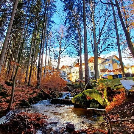 Apartamenty Nad Zlotym Potokiem Schreiberhau Exterior foto