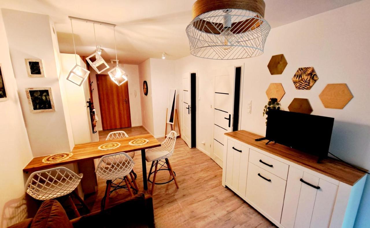 Apartamenty Nad Zlotym Potokiem Schreiberhau Exterior foto