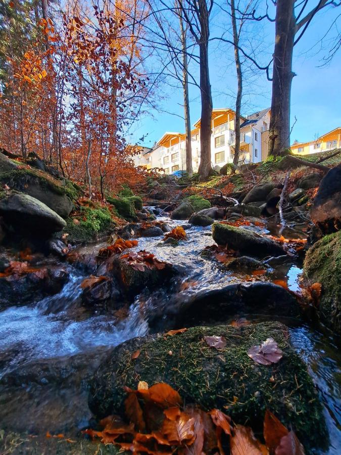 Apartamenty Nad Zlotym Potokiem Schreiberhau Exterior foto